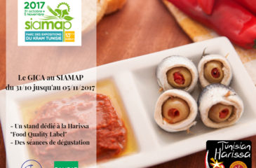 Affiche SIAMAP 2017