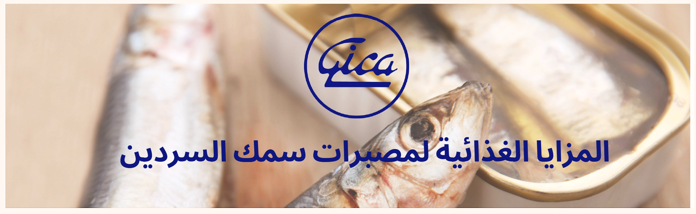 المزايا الغذائية لمصبرات سمك السردين